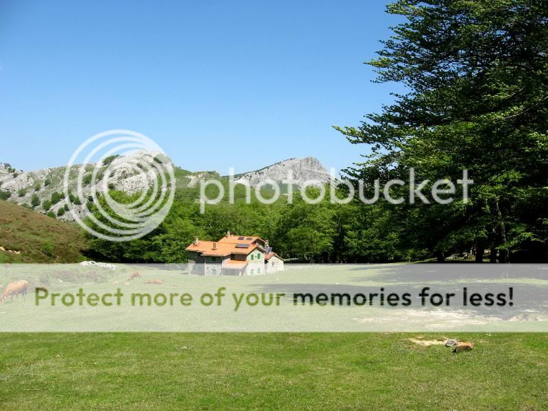 Photo Sharing and Video Hosting at Photobucket