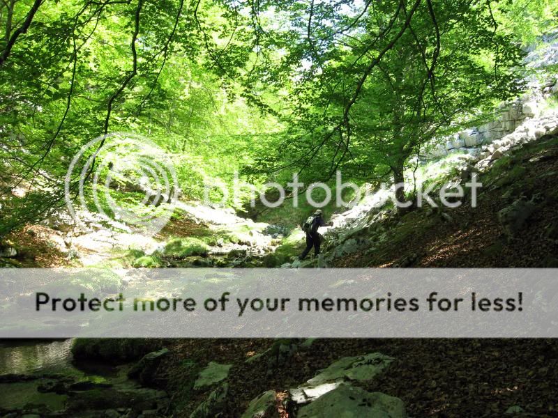 Photo Sharing and Video Hosting at Photobucket
