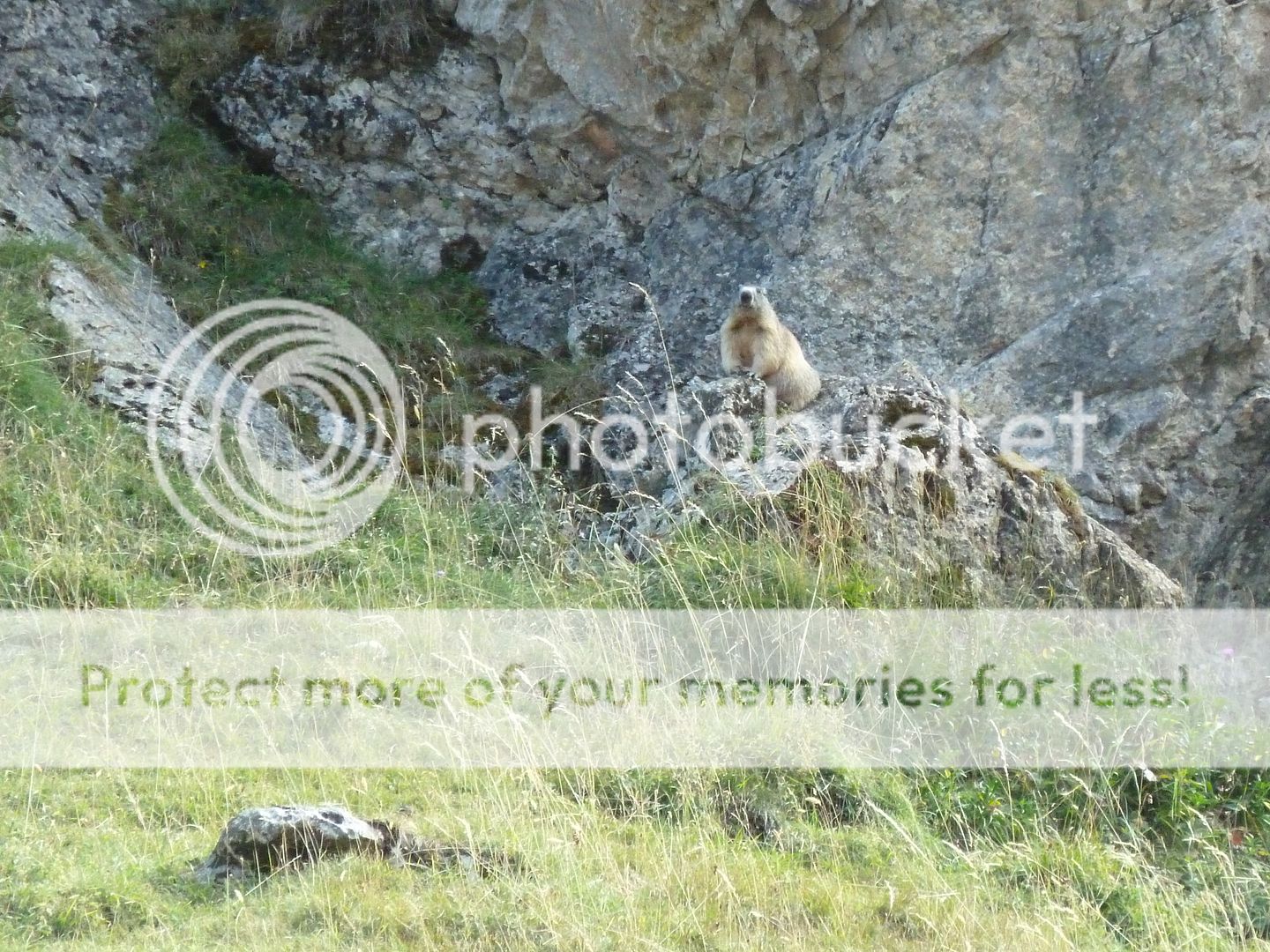 Photo Sharing and Video Hosting at Photobucket