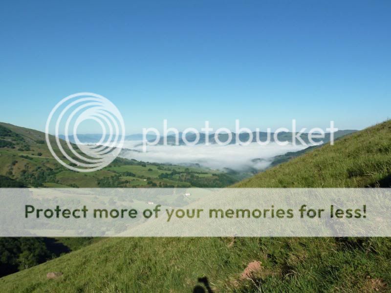 Photo Sharing and otobucVideo Hosting at Phket