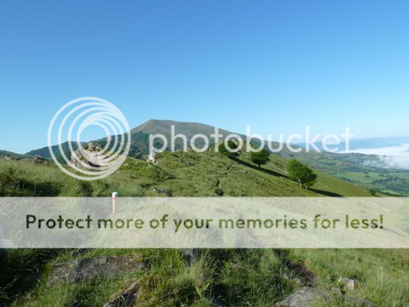Photo Sharing and otobucVideo Hosting at Phket