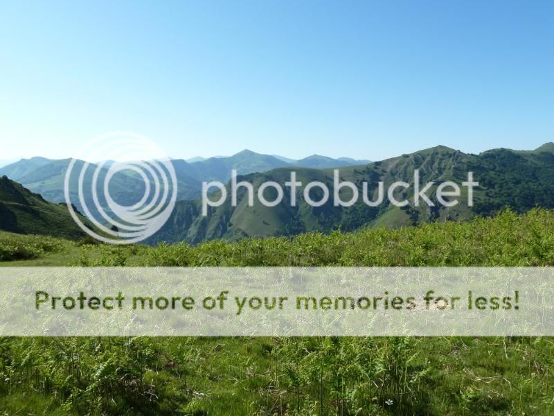 Photo Sharing and otobucVideo Hosting at Phket