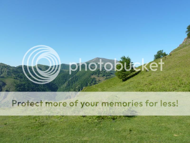 Photo Sharing and otobucVideo Hosting at Phket