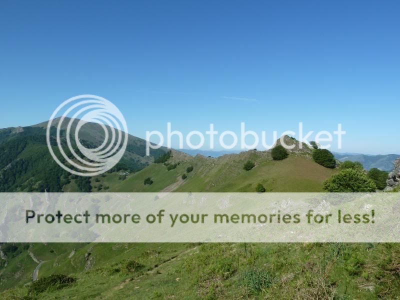 Photo Sharing and otobucVideo Hosting at Phket