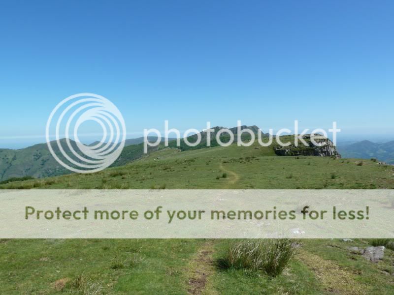 Photo Sharing and otobucVideo Hosting at Phket