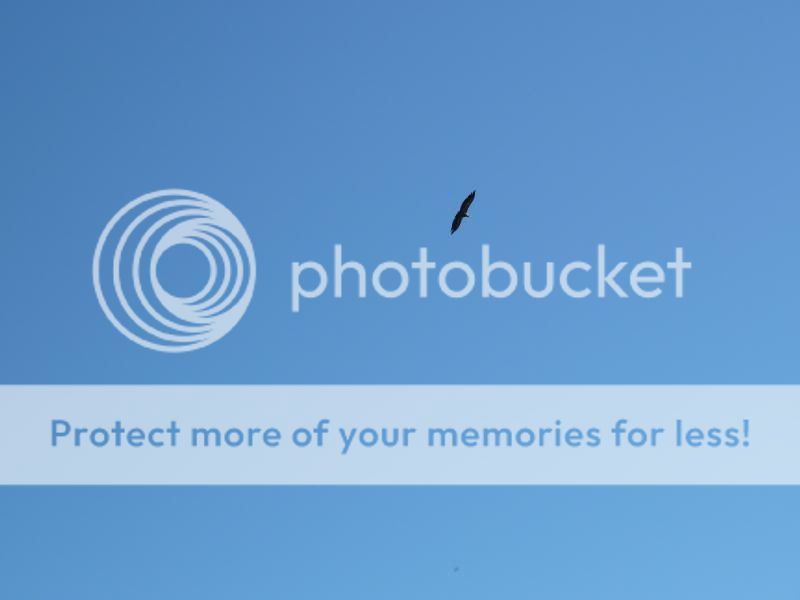 Photo Sharing and otobucVideo Hosting at Phket