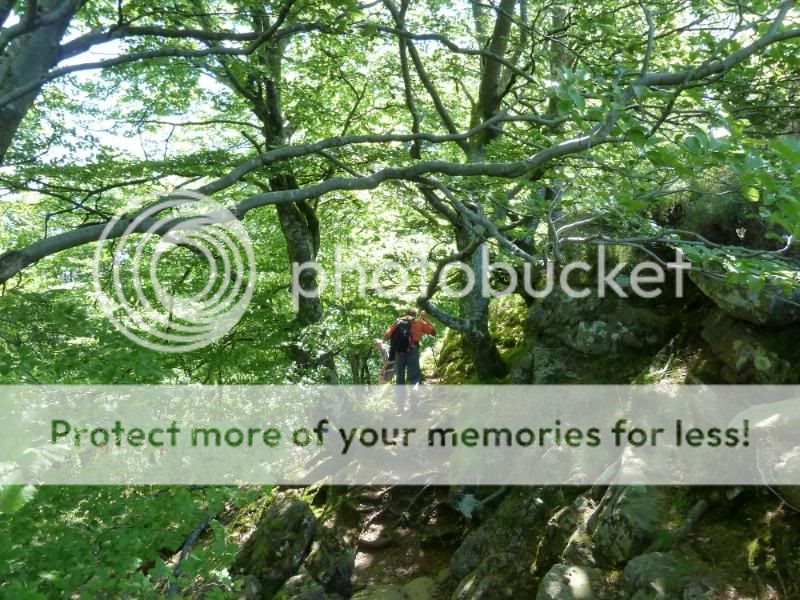 Photo Sharing and otobucVideo Hosting at Phket