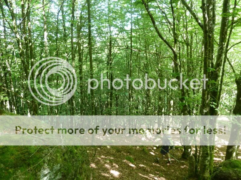 Photo Sharing and otobucVideo Hosting at Phket