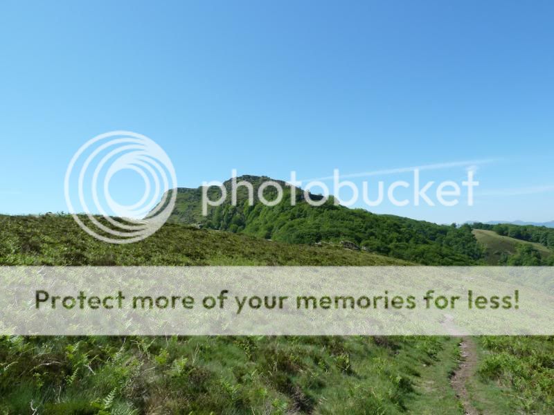 Photo Sharing and otobucVideo Hosting at Phket