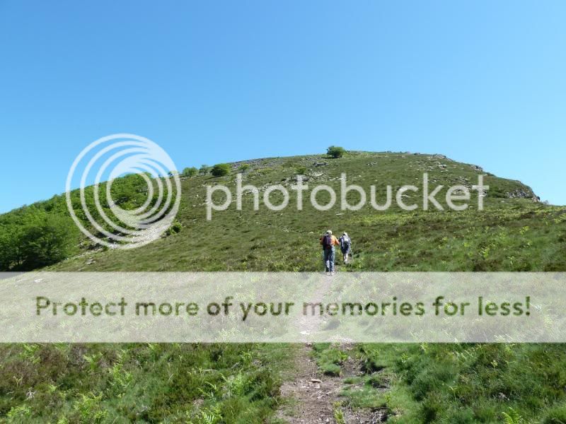 Photo Sharing and otobucVideo Hosting at Phket