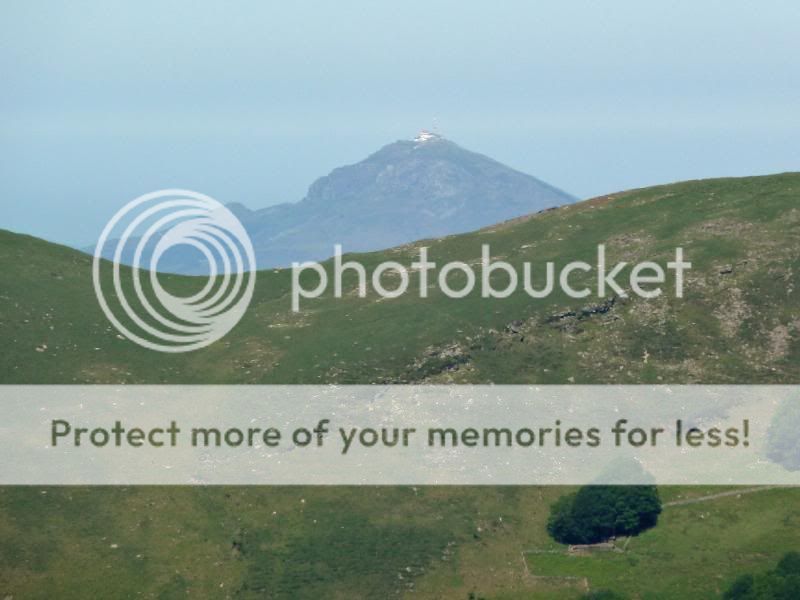 Photo Sharing and otobucVideo Hosting at Phket
