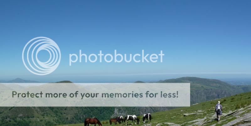 Photo Sharing and otobucVideo Hosting at Phket