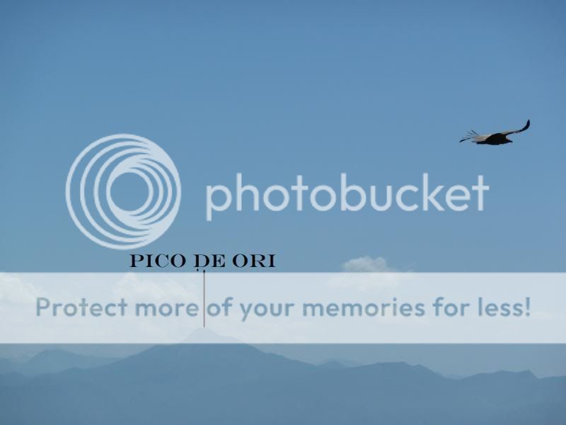 Photo Sharing and otobucVideo Hosting at Phket