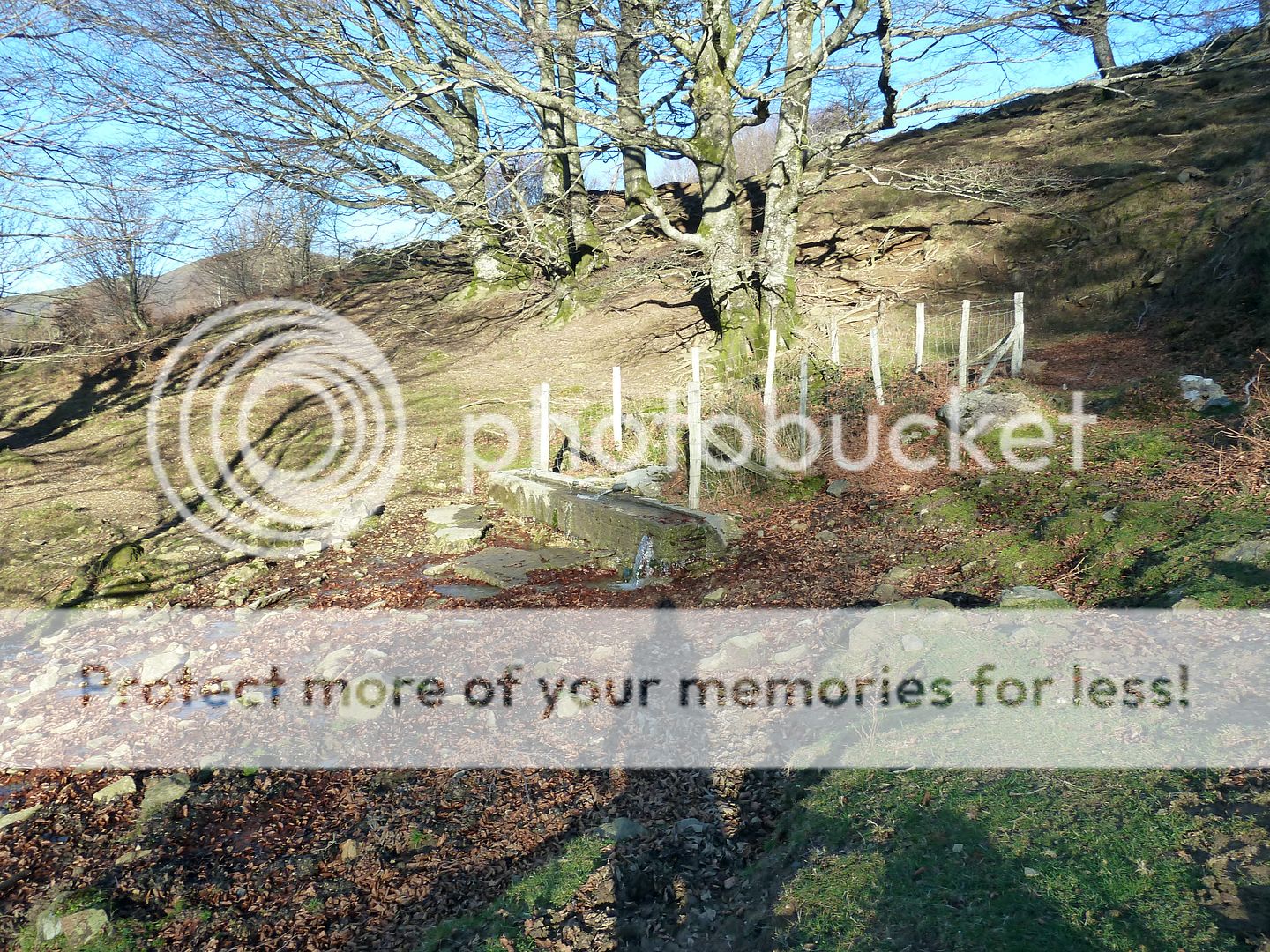 Photo Sharing and Video Hosting at Photobucket