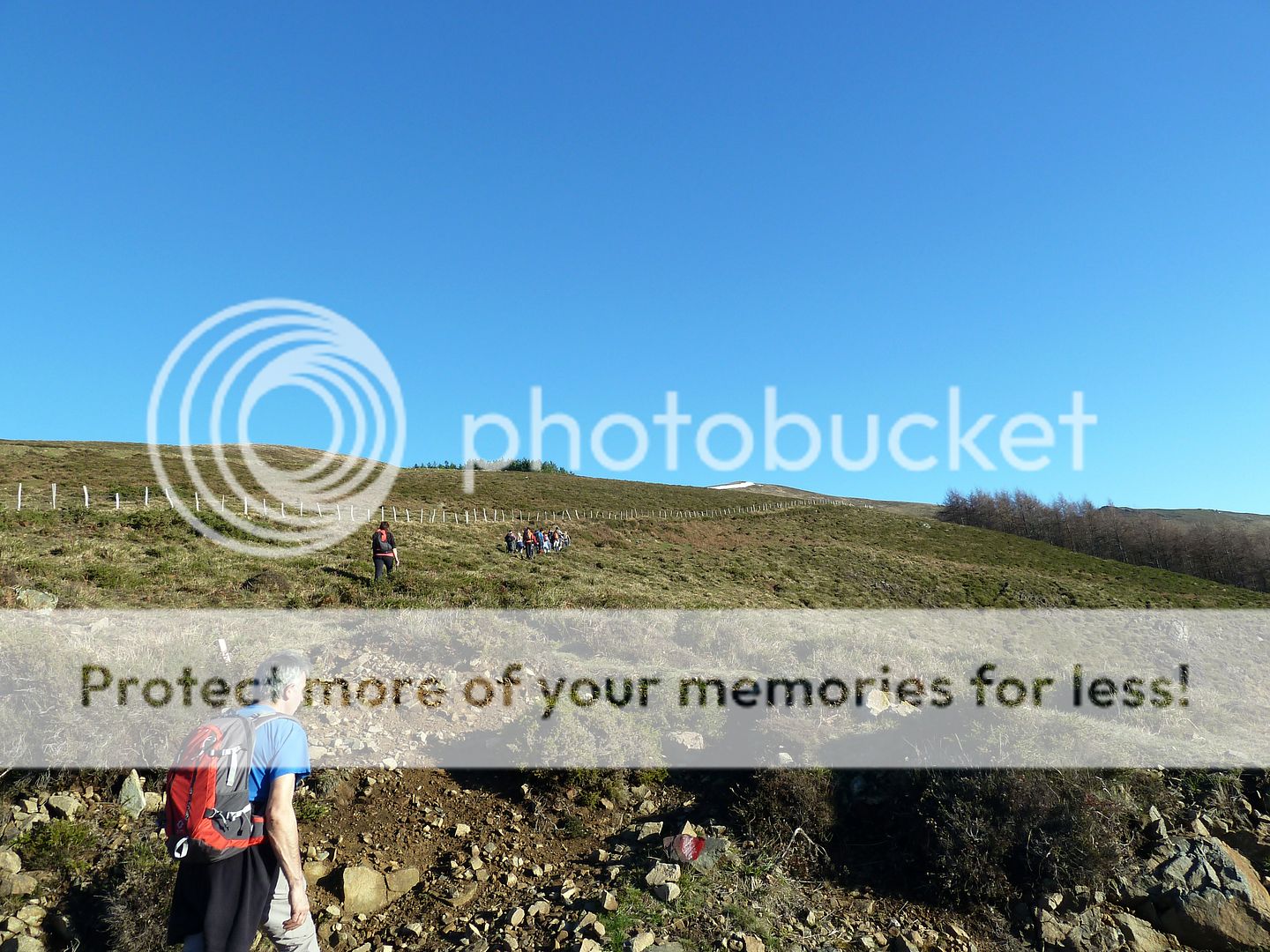 Photo Sharing and Video Hosting at Photobucket