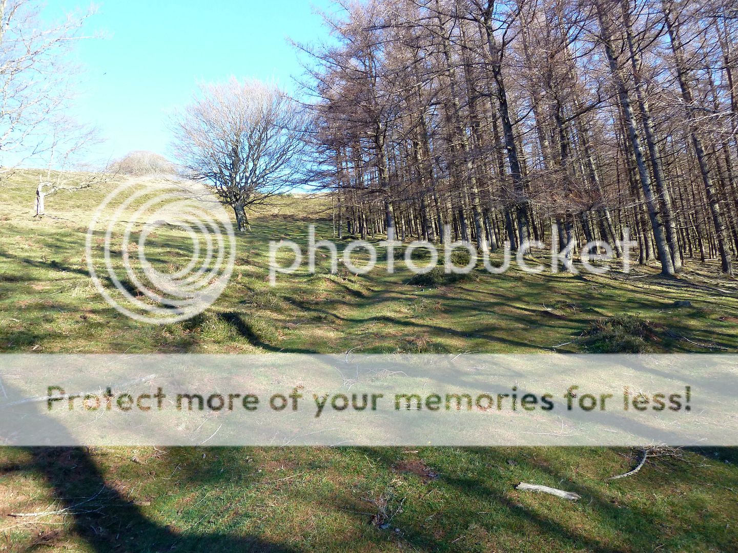 Photo Sharing and Video Hosting at Photobucket