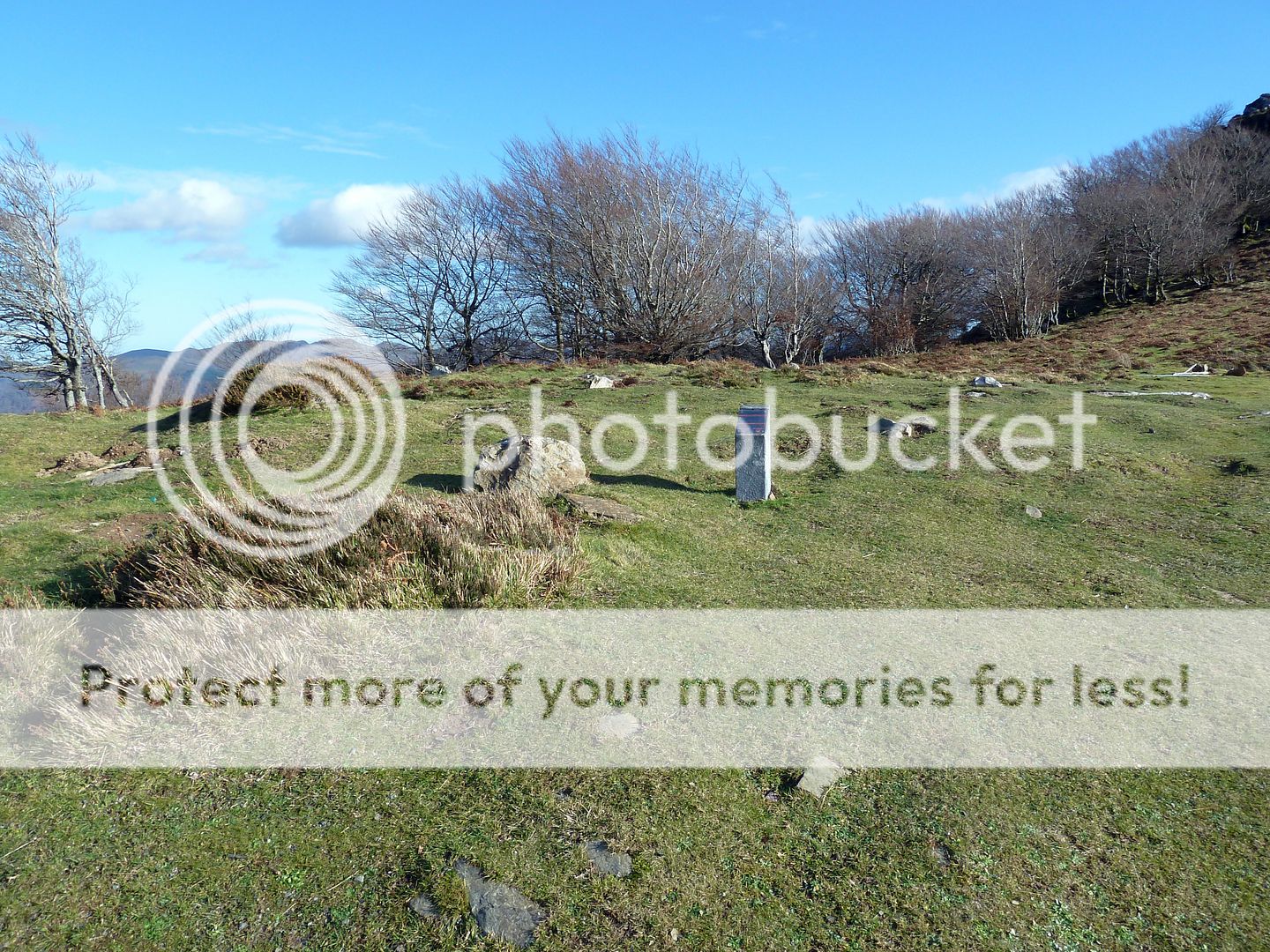 Photo Sharing and Video Hosting at Photobucket