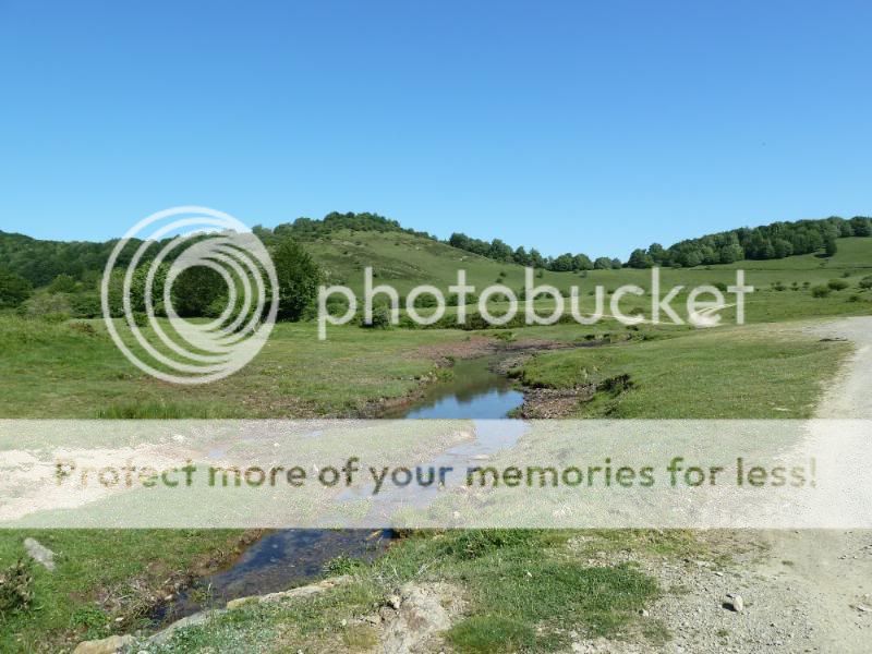 Photo Sharing and otobucVideo Hosting at Phket