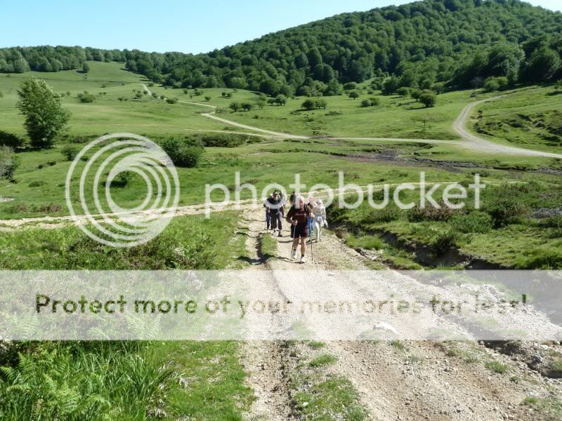 Photo Sharing and otobucVideo Hosting at Phket
