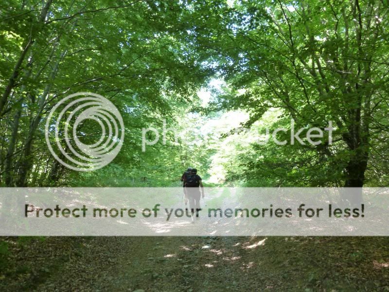 Photo Sharing and otobucVideo Hosting at Phket