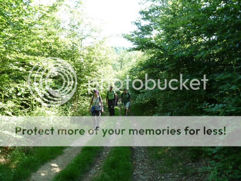 Photo Sharing and otobucVideo Hosting at Phket