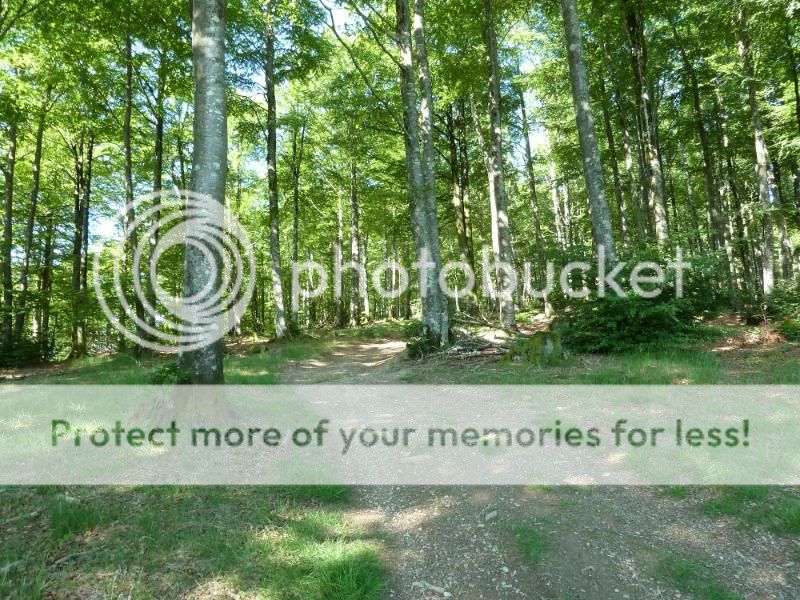 Photo Sharing and otobucVideo Hosting at Phket