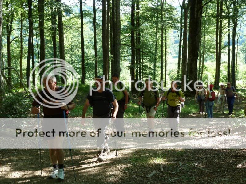Photo Sharing and otobucVideo Hosting at Phket