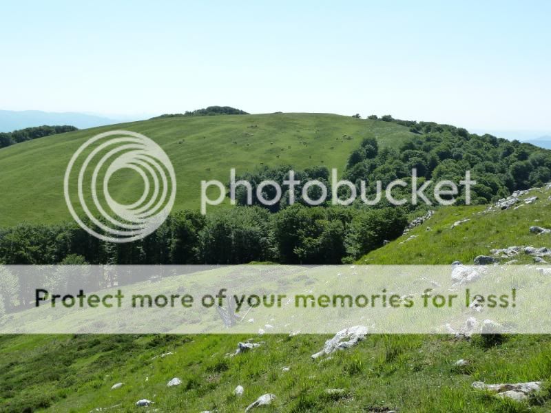 Photo Sharing and otobucVideo Hosting at Phket