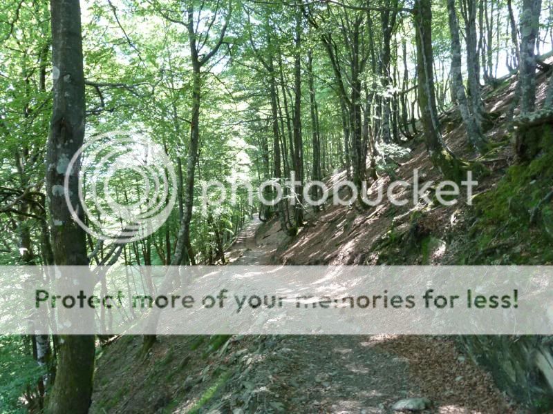 Photo Sharing and otobucVideo Hosting at Phket