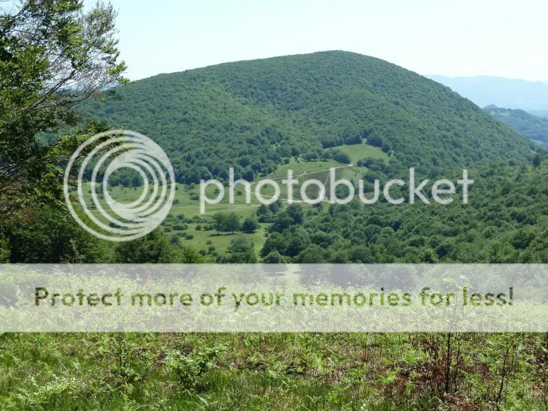 Photo Sharing and otobucVideo Hosting at Phket