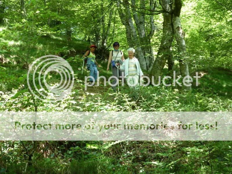 Photo Sharing and otobucVideo Hosting at Phket