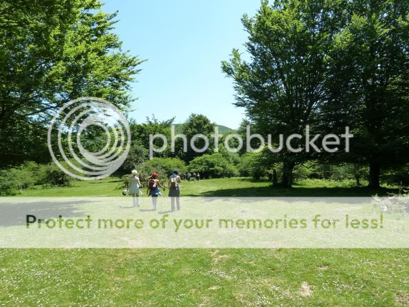 Photo Sharing and otobucVideo Hosting at Phket