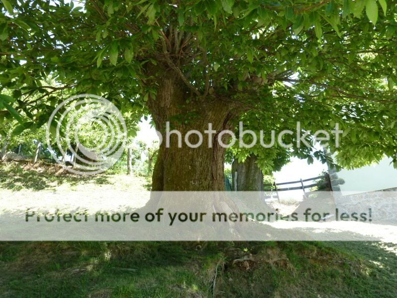 Photo Sharing and otobucVideo Hosting at Phket