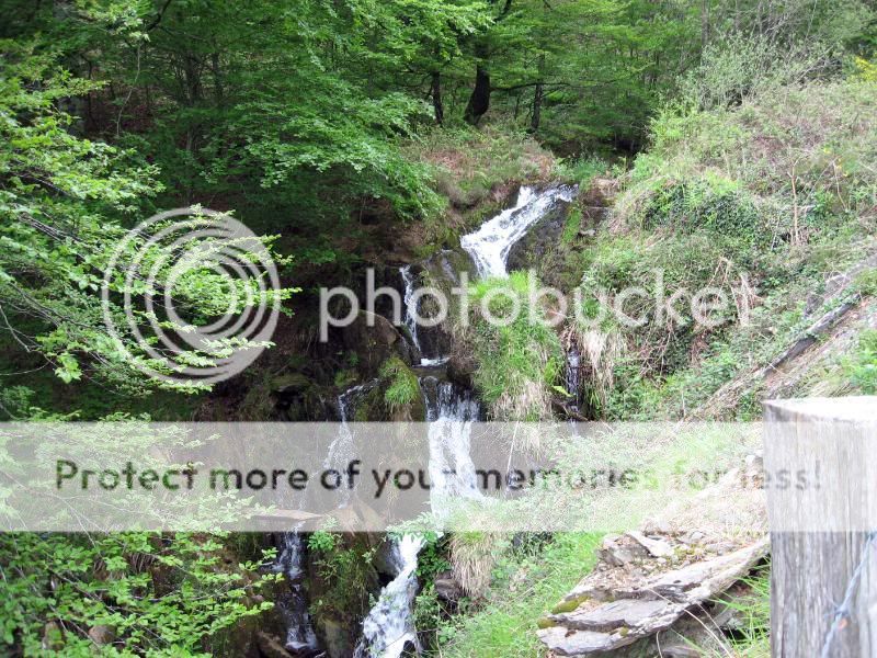 Photo Sharing and Video Hosting at Photobucket