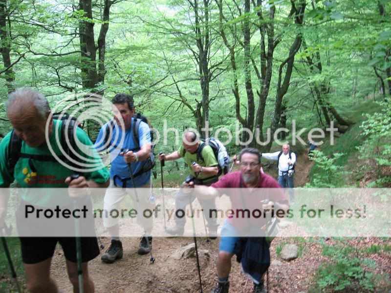 Photo Sharing and Video Hosting at Photobucket
