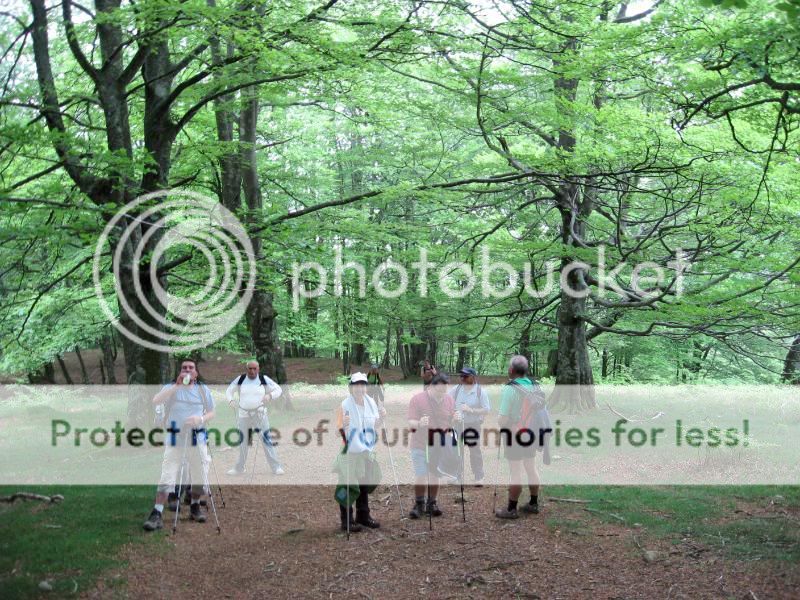 Photo Sharing and Video Hosting at Photobucket