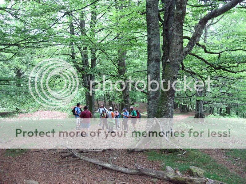 Photo Sharing and Video Hosting at Photobucket