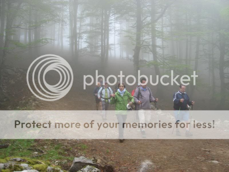 Photo Sharing and Video Hosting at Photobucket