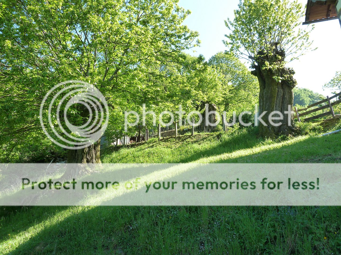 Photo Sharing and Video Hosting at Photobucket
