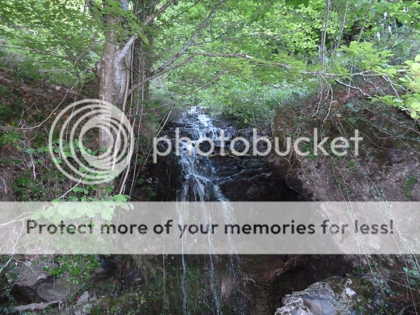 Photo Sharing and Video Hosting at Photobucket