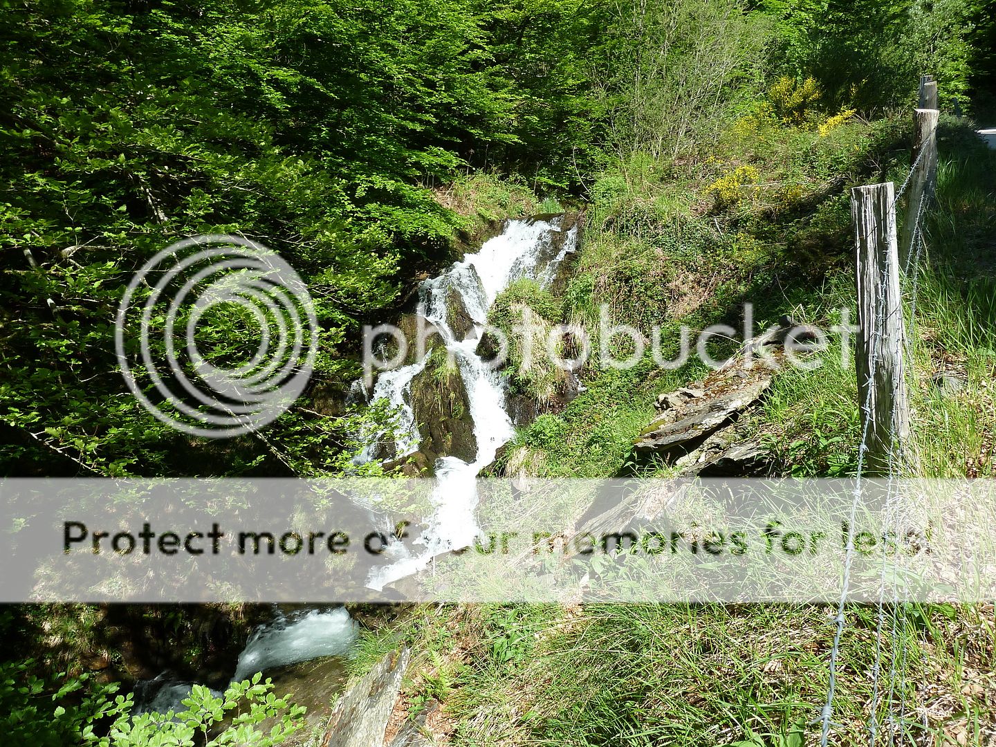 Photo Sharing and Video Hosting at Photobucket