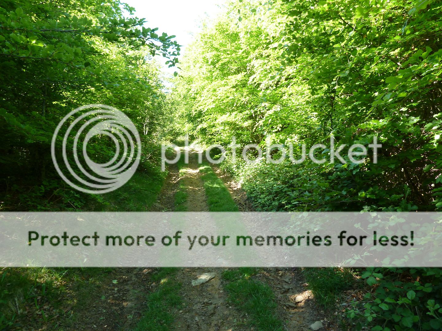Photo Sharing and Video Hosting at Photobucket