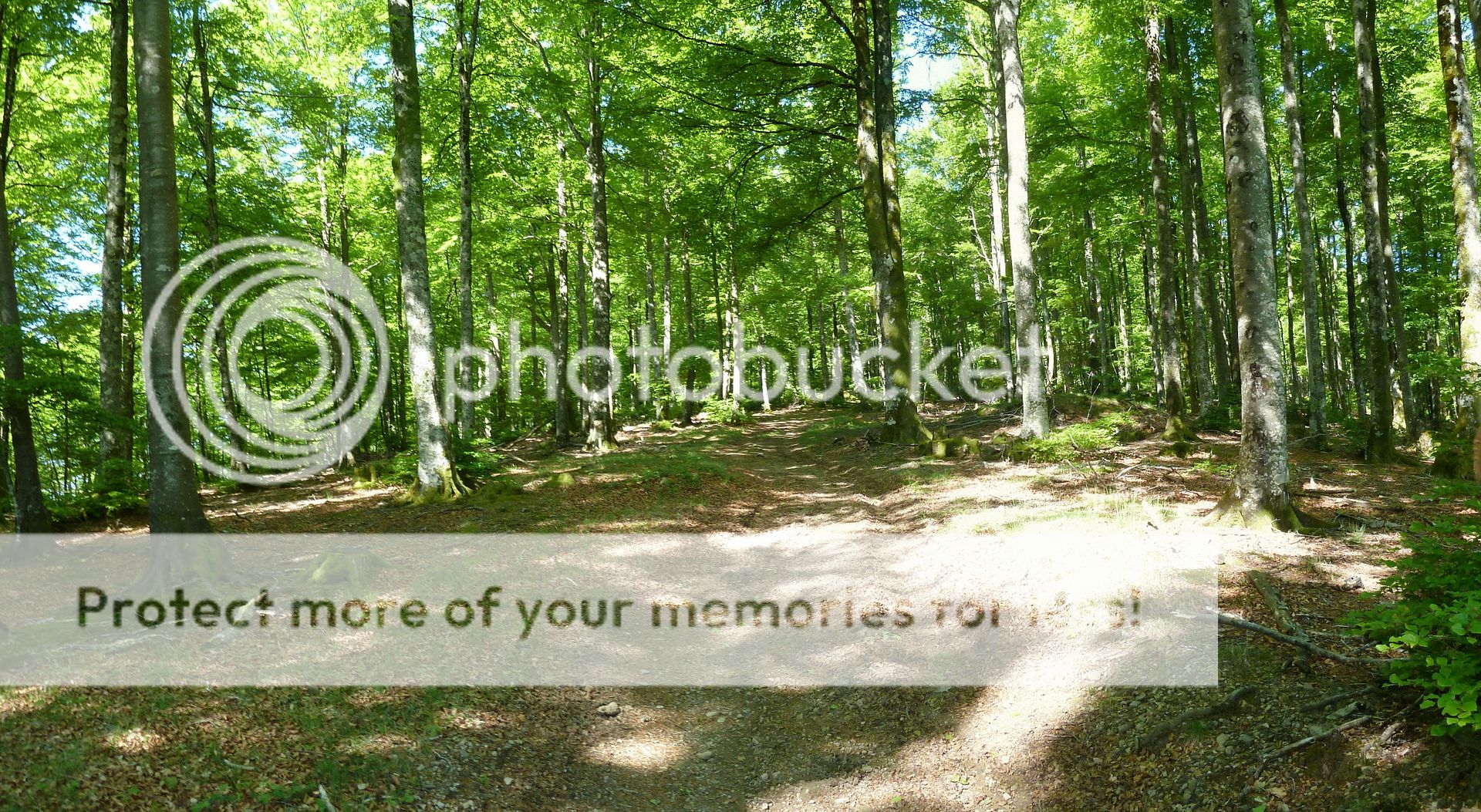 Photo Sharing and Video Hosting at Photobucket