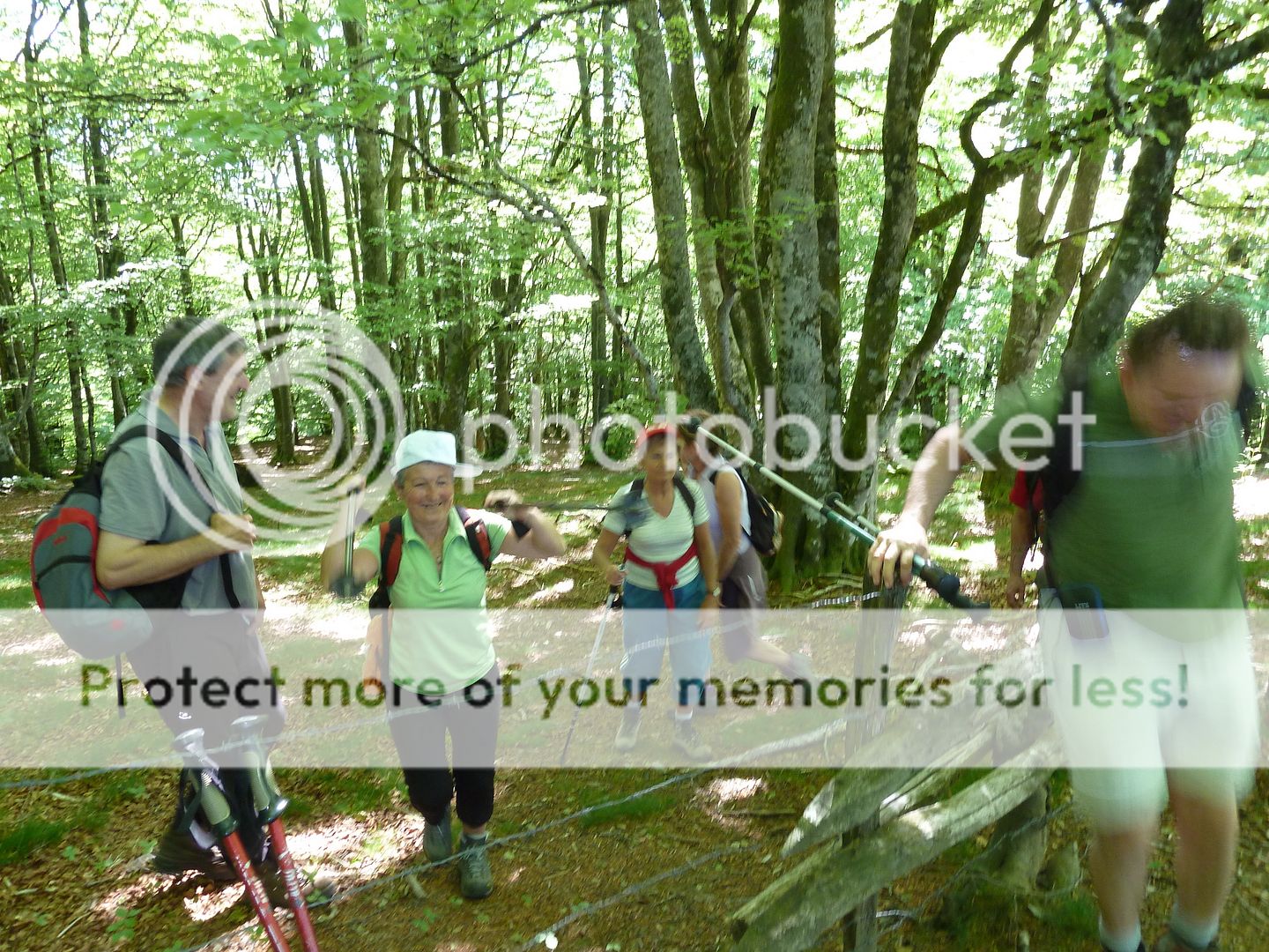 Photo Sharing and Video Hosting at Photobucket