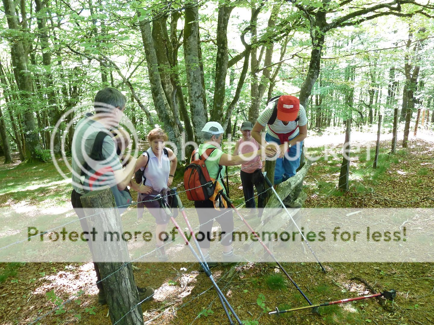 Photo Sharing and Video Hosting at Photobucket