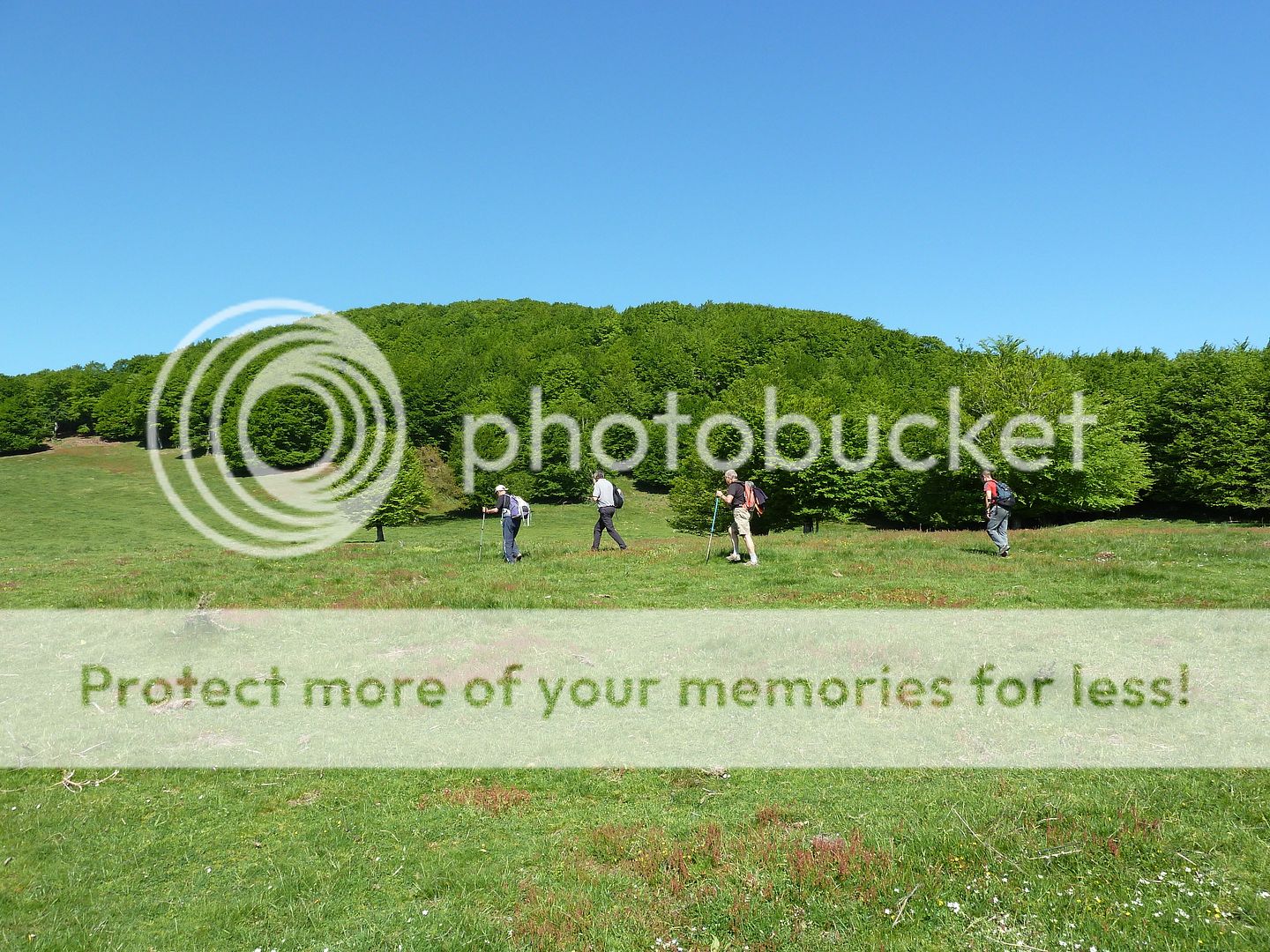 Photo Sharing and Video Hosting at Photobucket