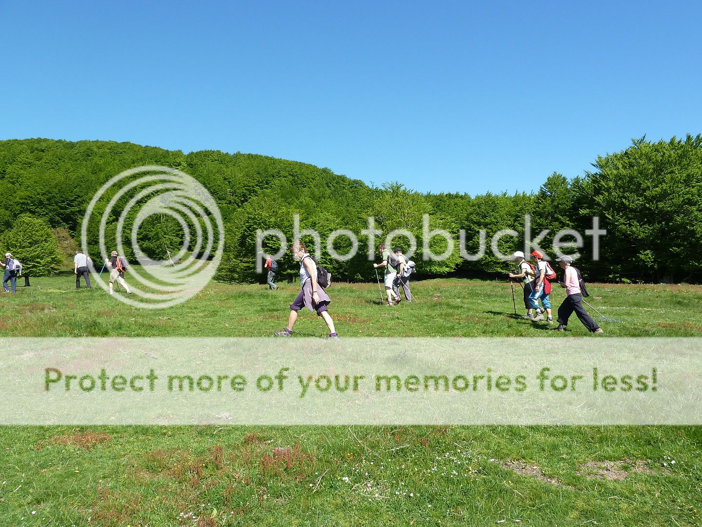 Photo Sharing and Video Hosting at Photobucket