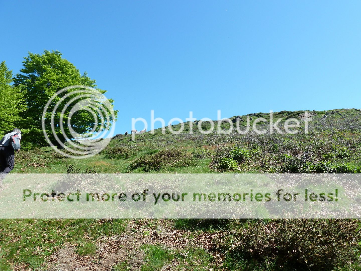 Photo Sharing and Video Hosting at Photobucket