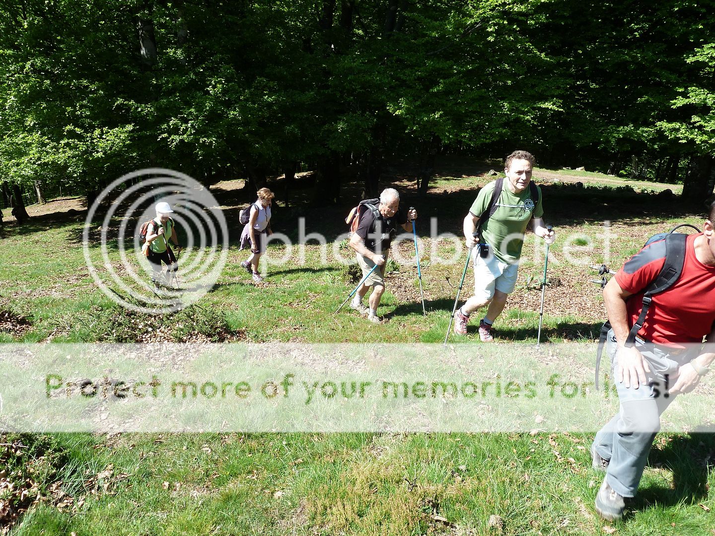Photo Sharing and Video Hosting at Photobucket