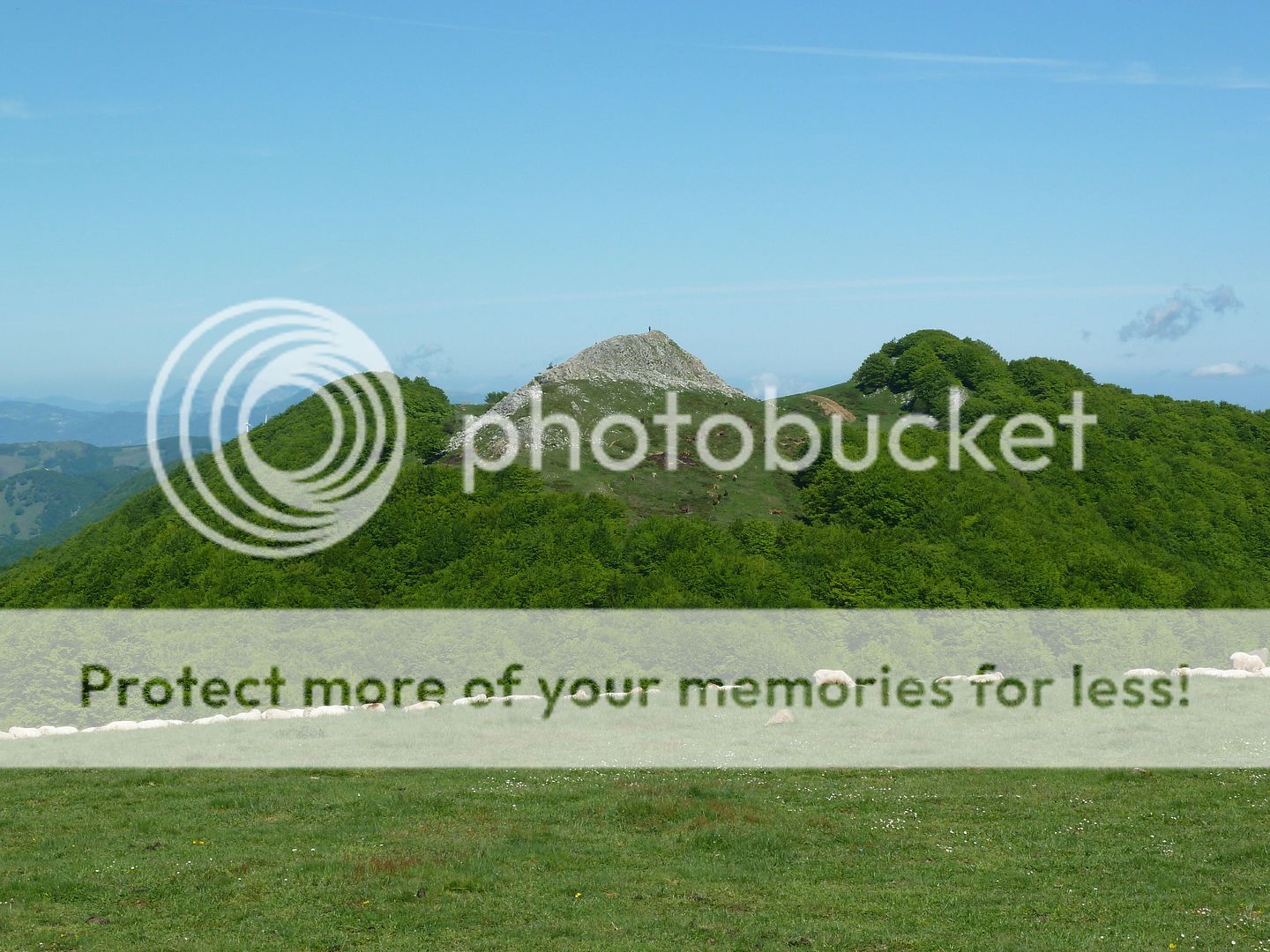 Photo Sharing and Video Hosting at Photobucket
